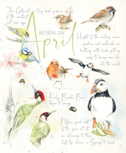 Load image into Gallery viewer, 12 x Nature's Diary SPECIAL OFFER