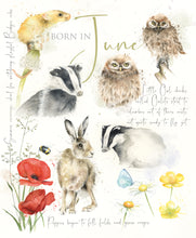 Load image into Gallery viewer, 12 x Nature's Diary SPECIAL OFFER