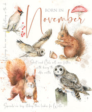 Load image into Gallery viewer, 12 x Nature's Diary SPECIAL OFFER