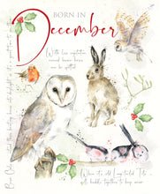 Load image into Gallery viewer, 12 x Nature's Diary SPECIAL OFFER