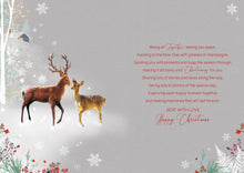 Load image into Gallery viewer, Son & Daughter In Law Christmas