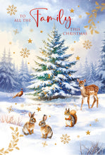 Load image into Gallery viewer, To All the Family Christmas Card