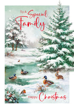 Load image into Gallery viewer, To A Special Family Christmas Card