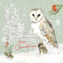 Load image into Gallery viewer, Christmas Card - Owl
