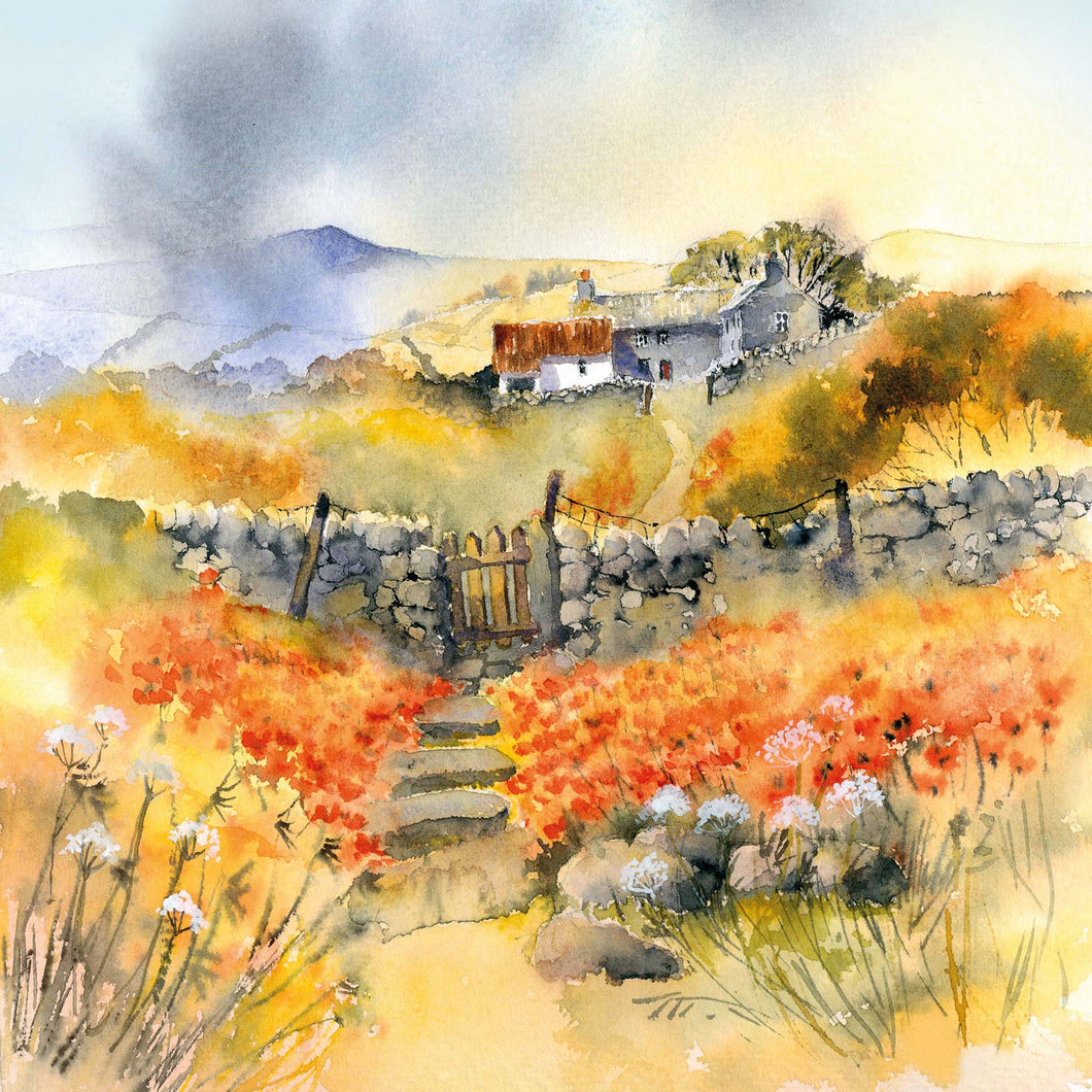 Artist Watercolour Cards