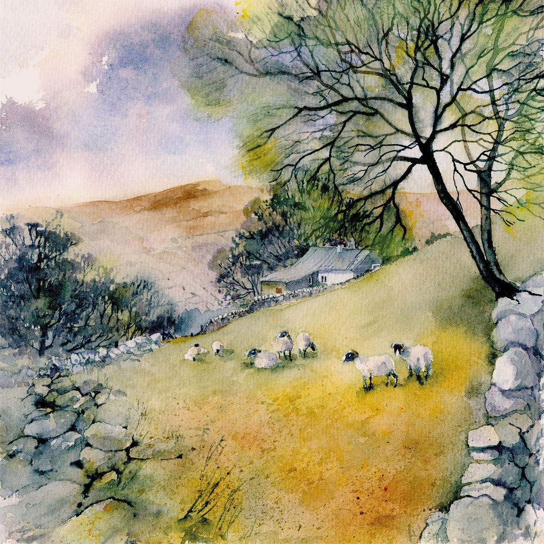 Artist Watercolour Cards