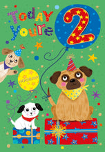 Load image into Gallery viewer, 2nd Birthday
