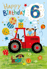 Load image into Gallery viewer, 6th Birthday
