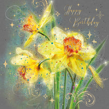 Load image into Gallery viewer, Multi Pack of Birthday Cards
