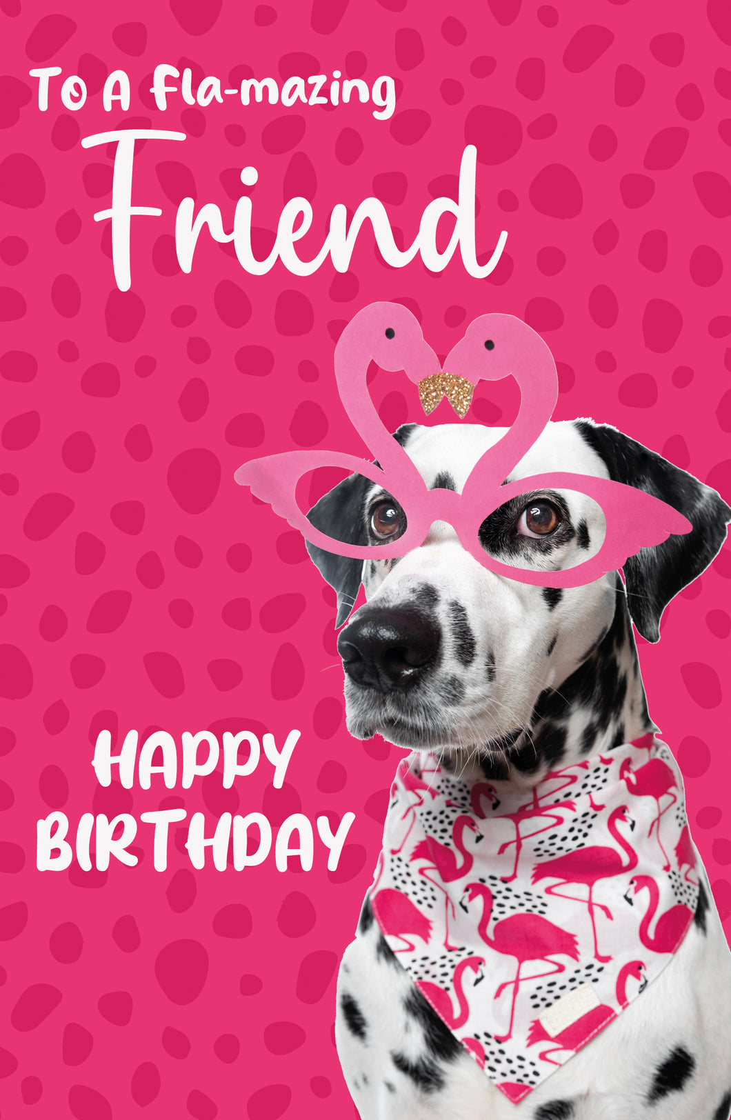 Friend Birthday