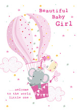 Load image into Gallery viewer, New Baby Girl
