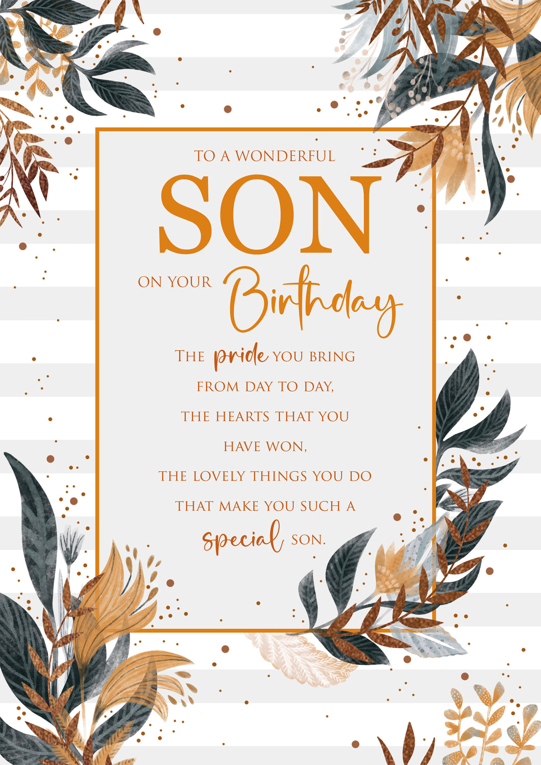 Son Birthday Card