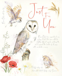 Happy Birthday Card - Barn Owl