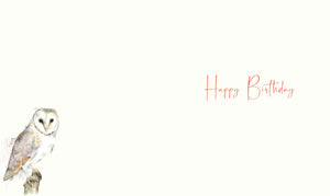 Happy Birthday Card - Barn Owl