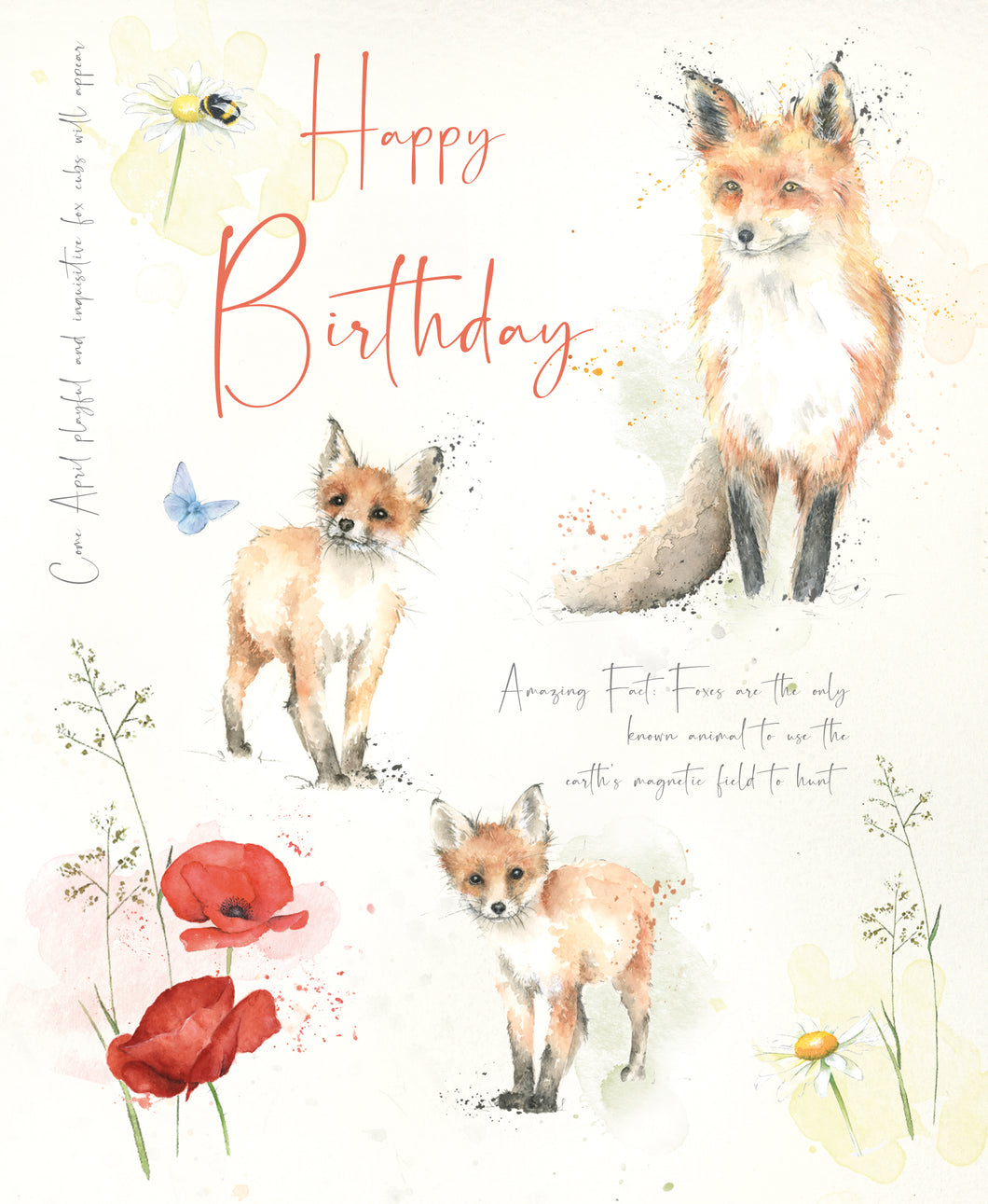 Happy Birthday Card - Fox