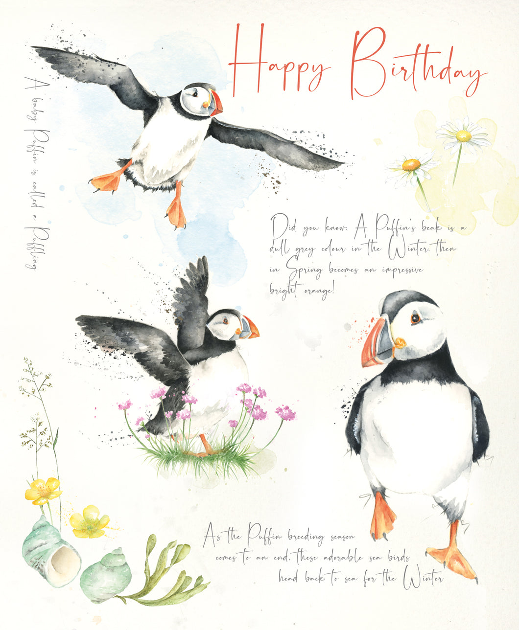 Happy Birthday Card - Puffins