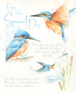 Happy Birthday Card - Kingfisher