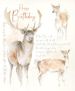 Happy Birthday Card - Fallow Deer
