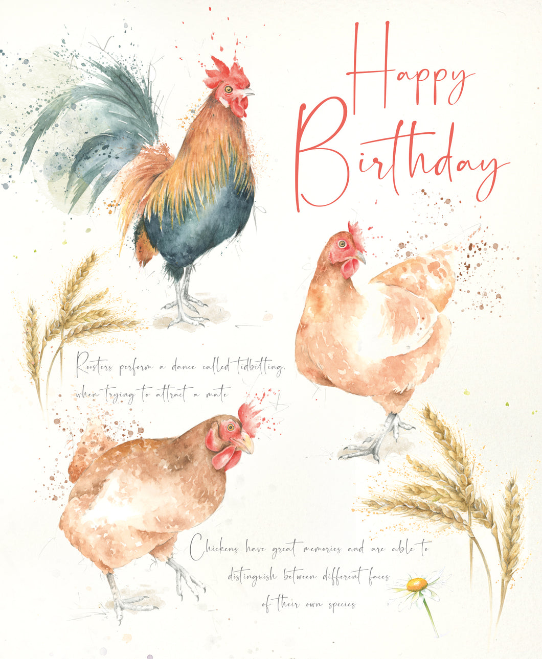 Happy Birthday Card - Chickens