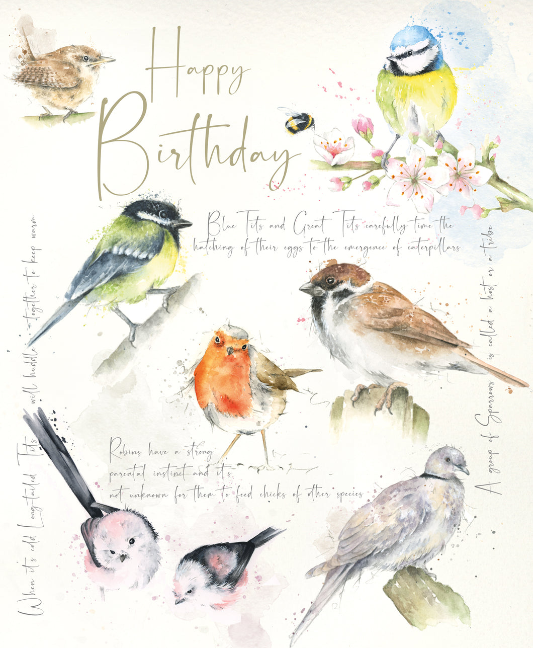 Happy Birthday Card - Garden Birds