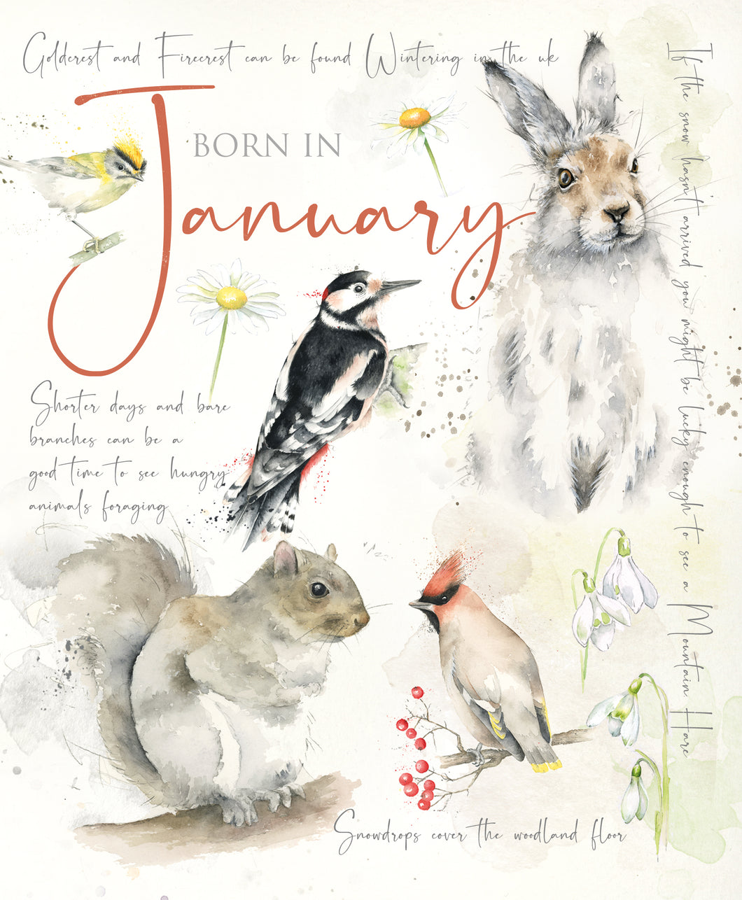 January Birthday Card