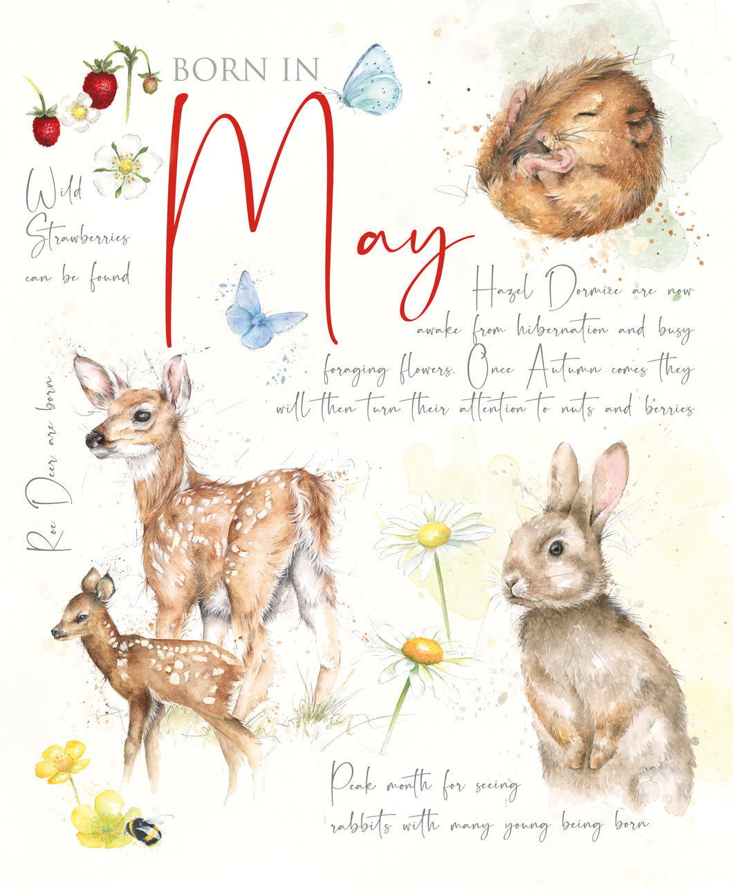 May Birthday Card
