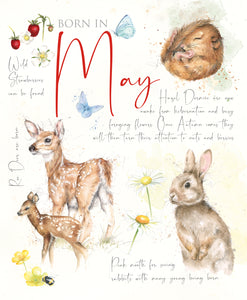 12 x Nature's Diary SPECIAL OFFER