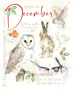 12 x Nature's Diary SPECIAL OFFER