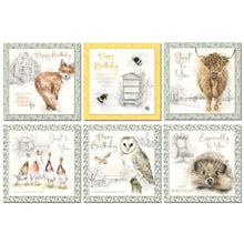 Load image into Gallery viewer, Multi Pack of Birthday Cards 9
