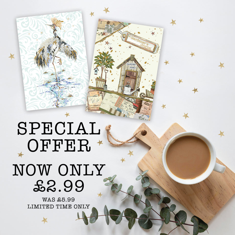 Notebook Special Offer 