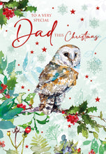 Load image into Gallery viewer, Dad Christmas
