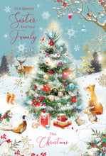 Load image into Gallery viewer, Sister &amp; Family Christmas
