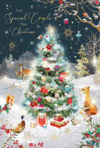 Special Couple Christmas