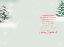 Load image into Gallery viewer, Sister &amp; Partner Christmas Card
