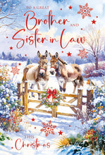 Load image into Gallery viewer, Brother &amp; Sister in Law Christmas Card
