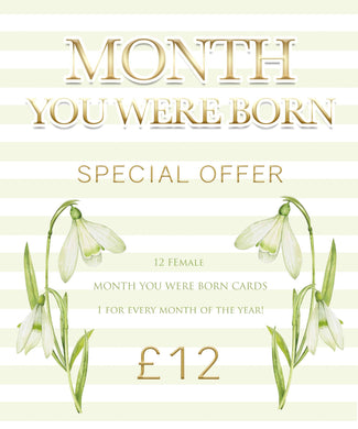 12 x Female Month Of Cards SPECIAL OFFER - Birthday Cards