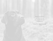 Load image into Gallery viewer, Happy Birthday - Great Value Birthday cards
