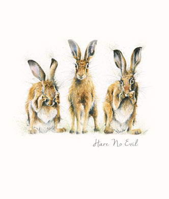 Hare No Evil - Blank Greeting Card