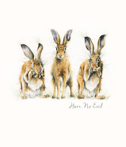 Hare No Evil - Blank Greeting Card