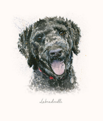 Labradoodle - Blank Greeting Cards