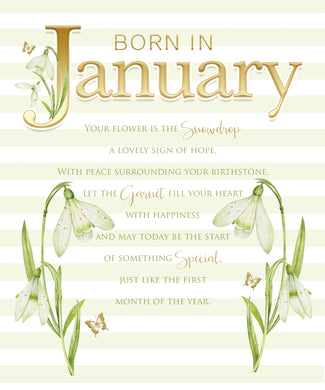January Birthday - Birthday Wishes Card