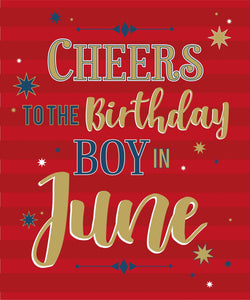 12 x Male Month Of Cards SPECIAL OFFER - Birthday Cards