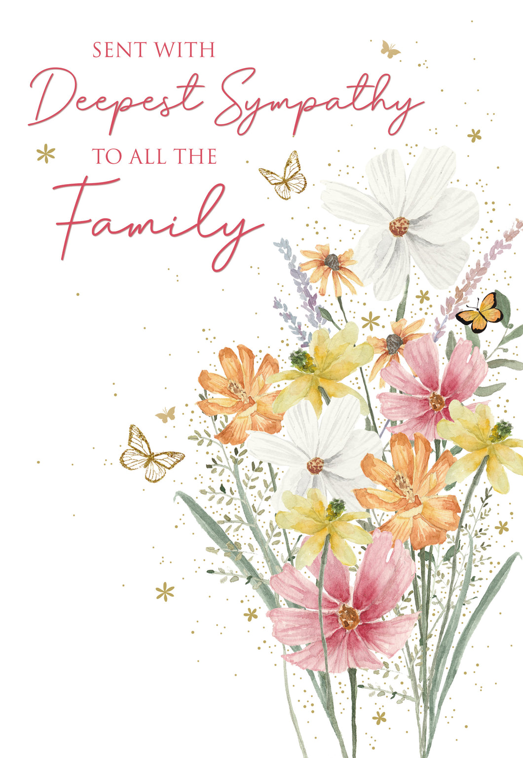 To all the Family Sympathy Card