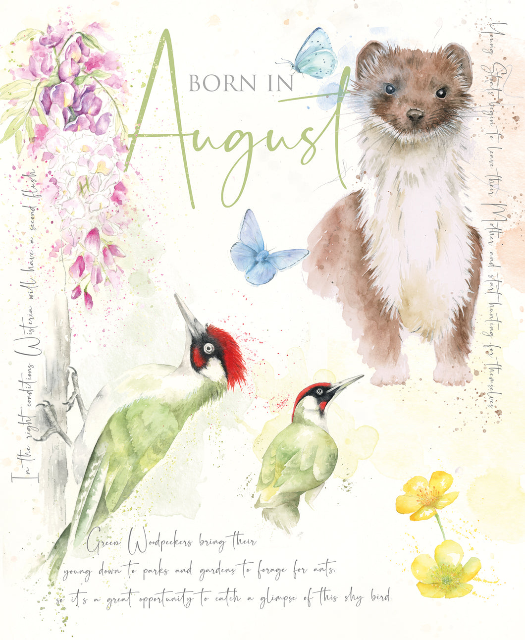 August Birthday Card