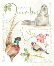 Load image into Gallery viewer, December Birthday Card
